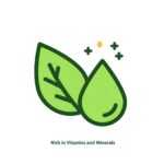 Rich in Vitamins and Minerals