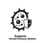Supports Immune System