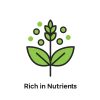 Rich in Nutrients